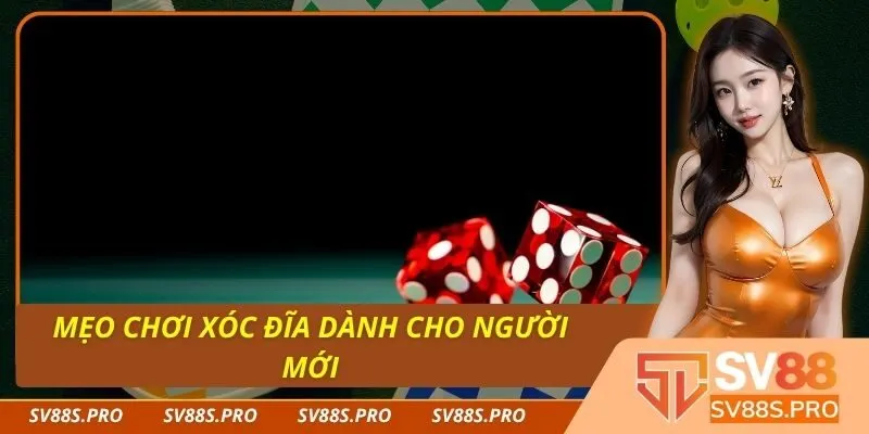 Mẹo Chơi Xóc Đĩa Dành Cho Người Mới